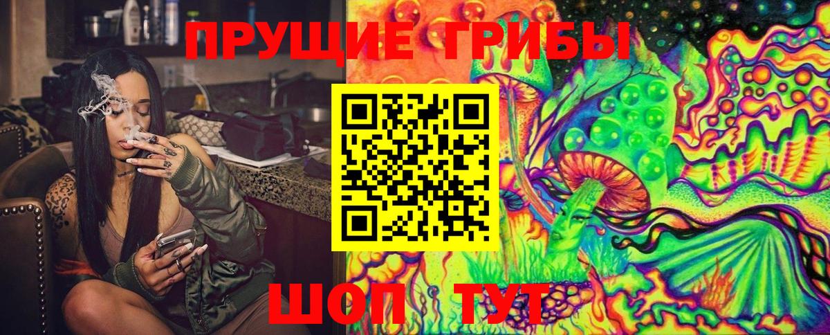 Псилоцибиновые грибы Psilocybe  Вход с VPN  Апатиты 